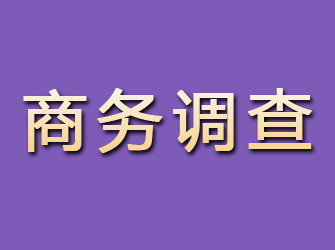 铁锋商务调查